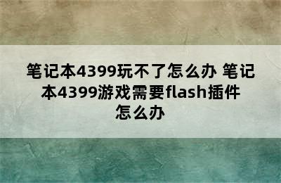 笔记本4399玩不了怎么办 笔记本4399游戏需要flash插件怎么办